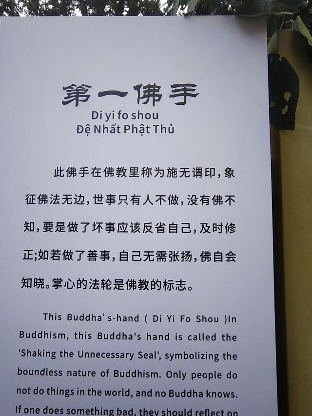 南行漫记：游锦屏山，看世界第一大弥勒佛。