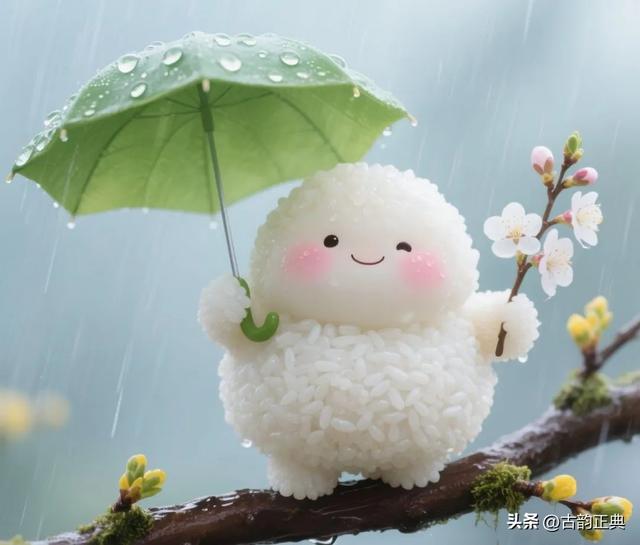 取自“十二花神”的美名昵称网名
