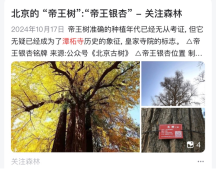 中国有一寺庙，庙不大，却有武警24小时站岗，究竟有何过人之处？