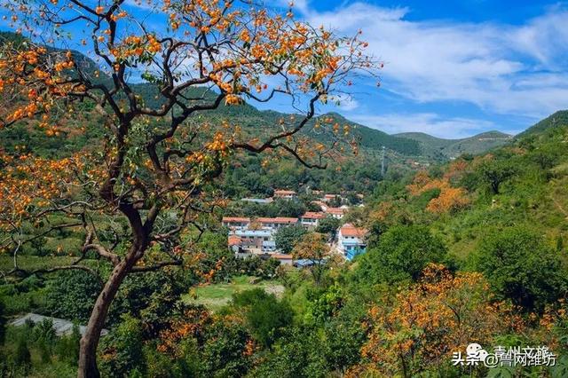 秋天的潍坊，是谁惊艳你的朋友圈？