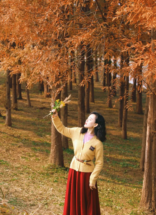 临沂「红杉」「红枫」浓度拉满，出片率100%