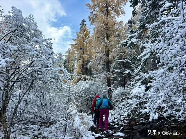甲依拉措 ：一场白雪与彩林的盛宴