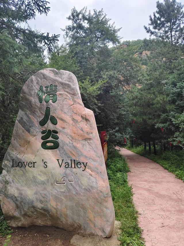 从甘肃到宁夏，我们走了一条绝美的风景之路，你不来看看吗？
