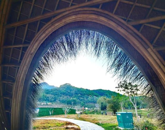 历史上的今天（11月18日）