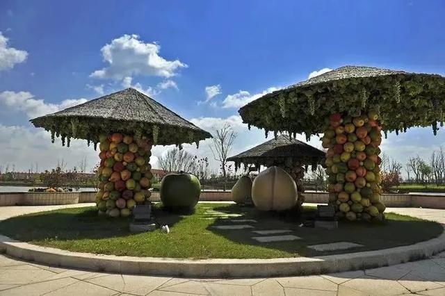 初冬逛沪郊！奉贤、崇明限时优惠来啦