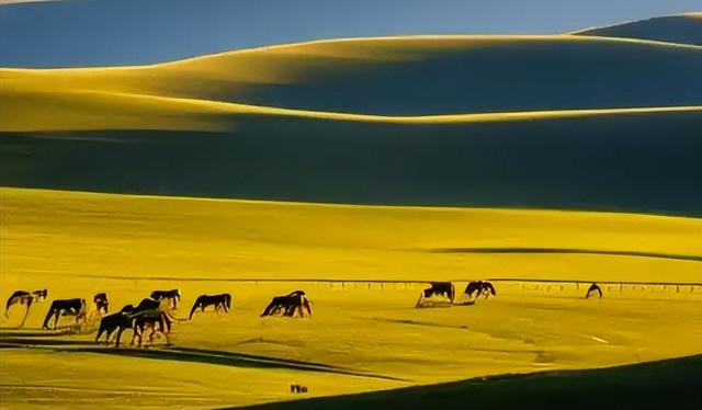 金色沙海藏粉色秘境！内蒙古这片土地，藏着哪些不为人知的秘密？