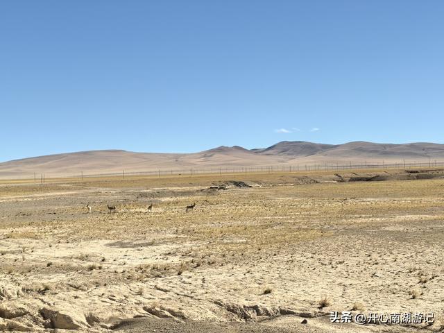 喀什经317到成都，改则-尼玛，途径大地之树、洞措湿地自然保护区