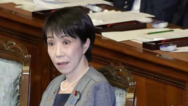 高市早苗豪赌日本政坛！她若再次当选，中国不止一张“稀土牌”