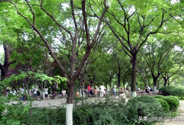夏日炎炎，泉城戏水，不辞长作济南人