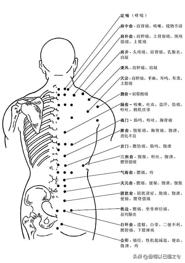 人体-结构-功能-系统