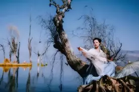 不讨好，不解释，不勉强，不凑合（经典）图片