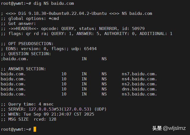 如何在 Linux 中检查 DNS 服务器 IP 地址？