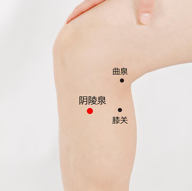 阴陵泉穴：健脾祛湿的小腿主力穴！位置功效全指南，解决水肿湿重