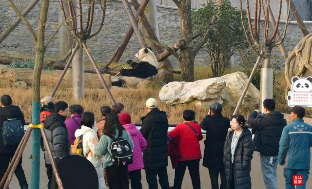 元旦去哪儿玩？跟着官方推荐玩转绵阳！