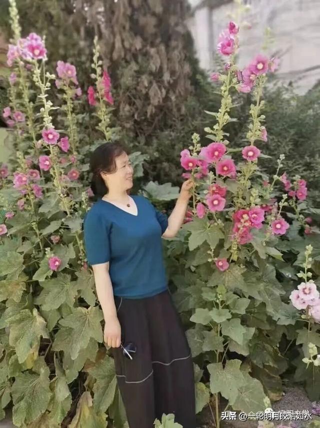 白马梵音里的心灵净土