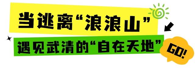 何以中国 | 走出“浪浪山”，一起去武清！