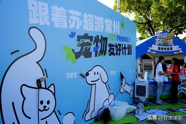 “苏超”爆火：始于足球，成于文化