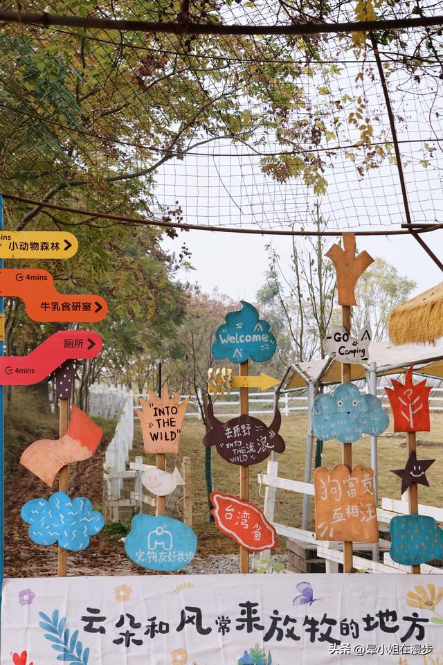 成都周边的“新西兰”牧场，看奶牛、喂萌宠、吃烧烤，被自然治愈