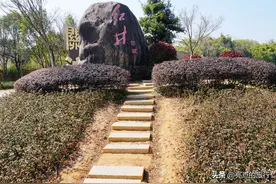 小学课本里《吃水不忘挖井人》的红井景区：中央政府的历史见证图片