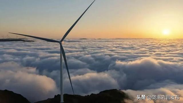 牧云者招募：宕昌草原，你的旷野乌托邦