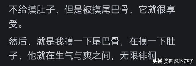 你是否有过把宠物逼的差点说话的时候？网友们的分享，惊呆了
