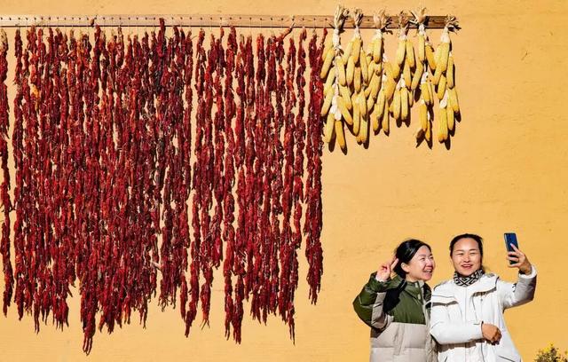 图说中国|从博物馆到乡村舞台，群众文化生活绽放多元魅力