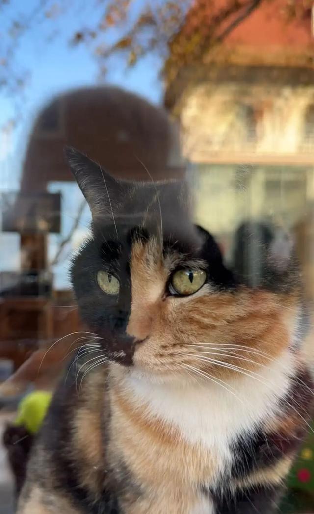 博物FUN | 观复之道：中国首家私立博物馆的“逆生长”密码