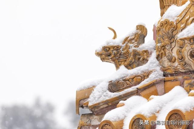 震撼！故宫瓦当，紫禁城守望者；中式美学老屋瓦当 只有中国人才懂