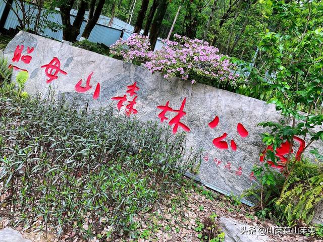 2023年春重庆探亲记（三）