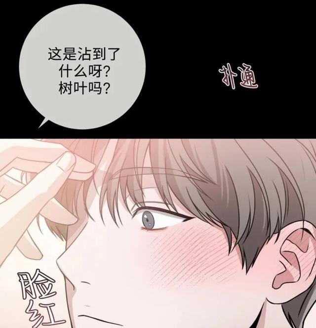 韩漫｜第八次失败的恋爱｜结婚证总比离婚证多一本