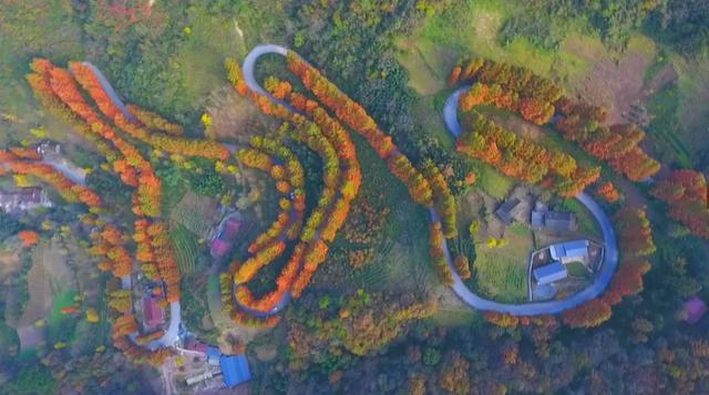 秋色浓度超标！汉中这座小城值得奔赴！