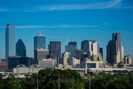 德克萨斯在战胜加利福尼亚图片