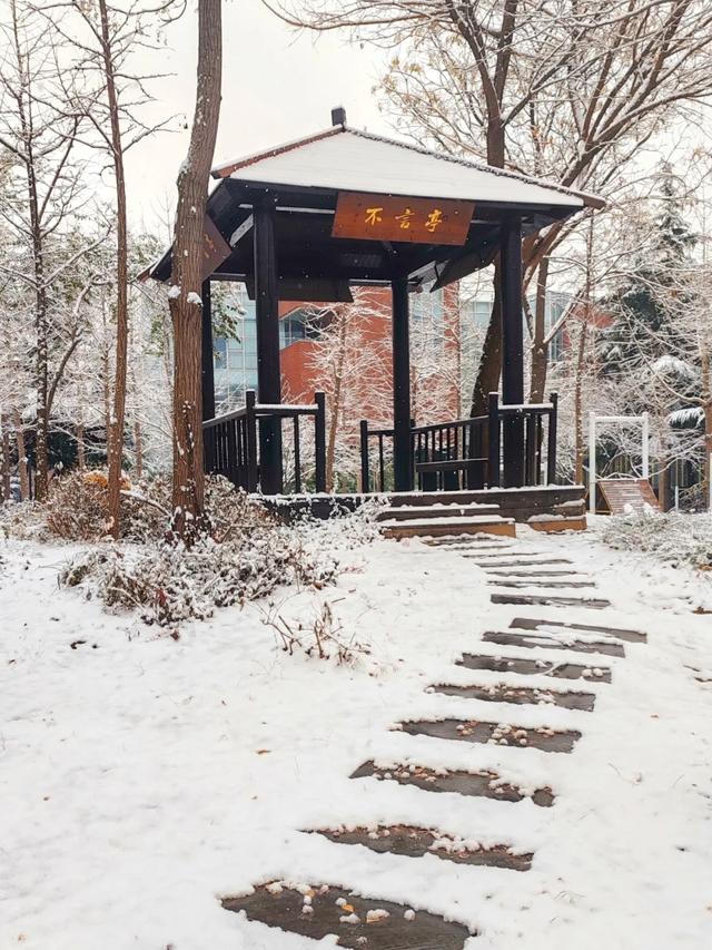 赴一场校园雪约,猜猜哪栋是你的 “温暖小窝”