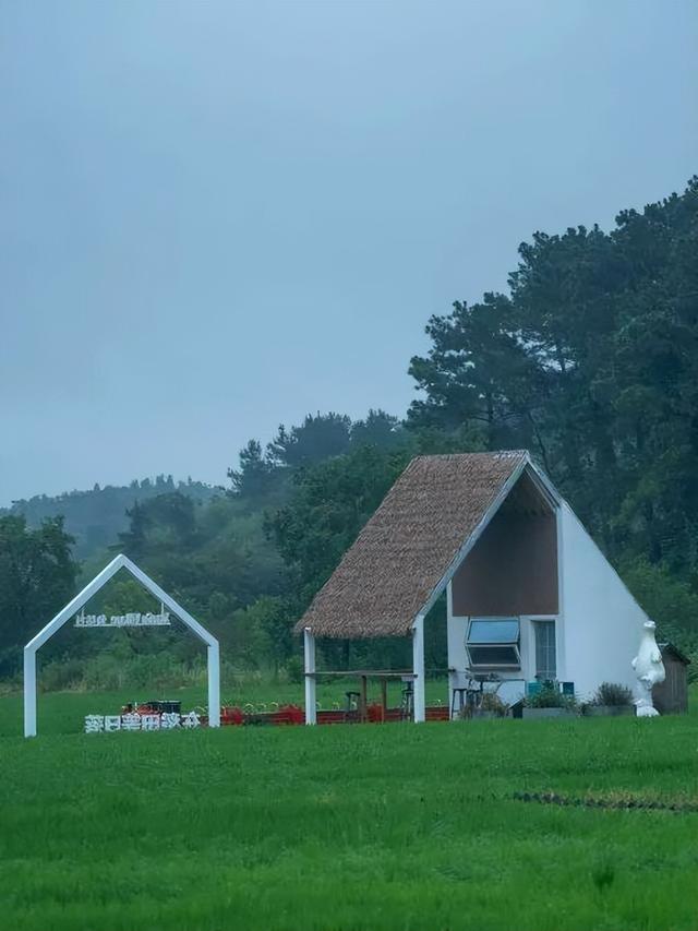 太美！来看金坛茅山私藏的「秋雨仙境」
