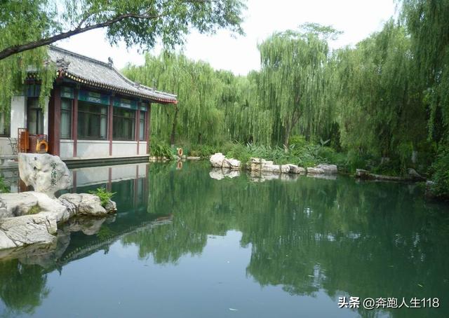 夏日炎炎，泉城戏水，不辞长作济南人