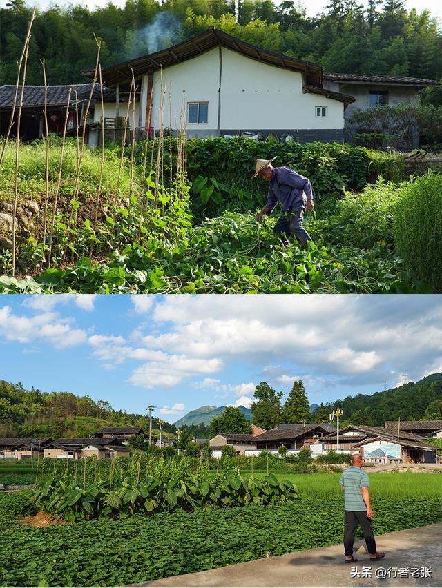 走遍福建古村落，罗宁古道上的八百年古村，藏在坑里叫“深坑”