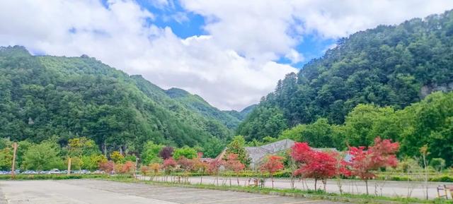 半价优惠！黎坪景区和留坝山水联动！为您打造“清凉续集”→