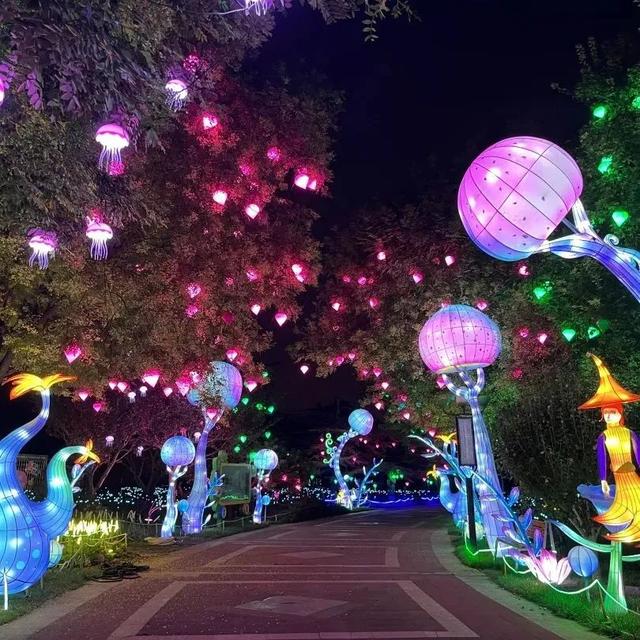 这个暑假，丰台“游”点“不一样”（自然游乐篇）
