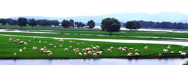 倒计时5天！扎赉特好物“京蒙”嘉年华等你“赉”赴约～