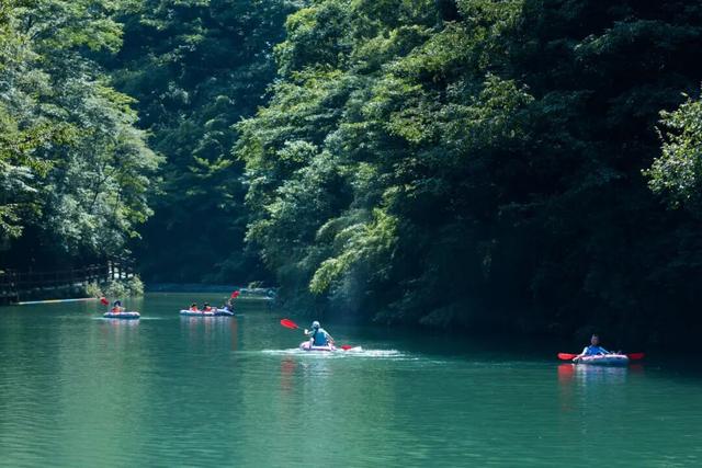 金佛山邀重庆工业职业技术大学（南川校区）全校师生解锁山水美景~