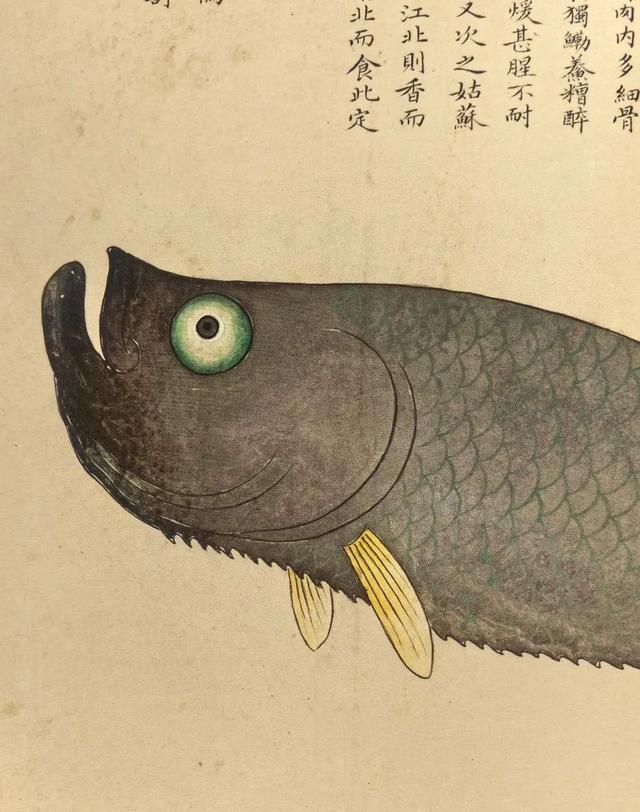 这画，真实又让人脑洞大开！