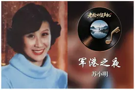 华语流行音乐年鉴1980——内地篇（完整版）图片