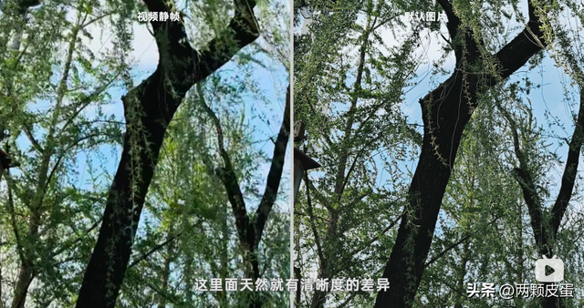 Find X9 Pro，Live Photo 到底有什么用？