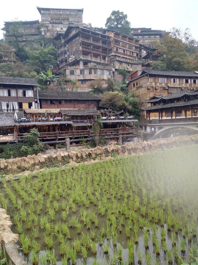 又踏黔地之一百一十四 黔东南篇之十九 西江千户苗寨 （4）
