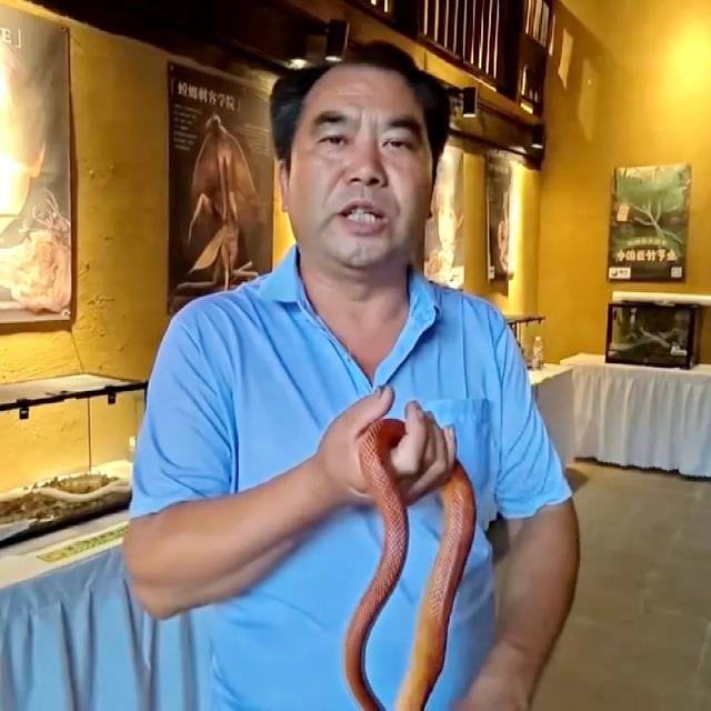 佛坪新增一个秦岭秘境科普馆→