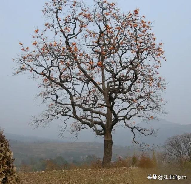 田园风光