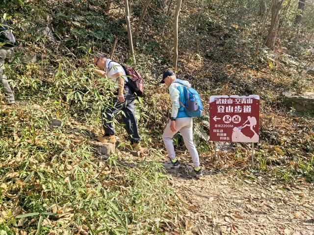 南京第二次到镇江武岐山空青山郊野徒步