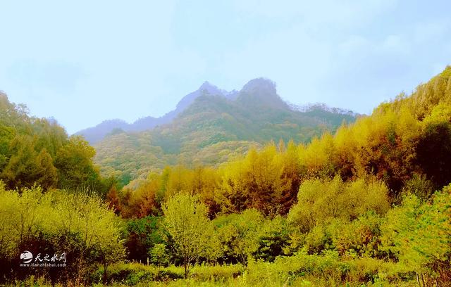秋染天水白音山双乳峰:一幅大自然馈赠的立体画卷