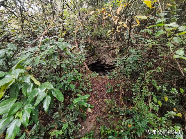 寻找一个古人类遗址不遇，居然无意间发现了一个躲匪洞