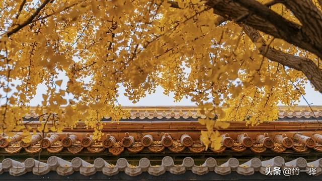 Deepseek和百度AI共同推荐北京红叶区：到北京旅游至少要去三个。